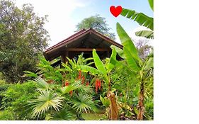 Pencave Homestay