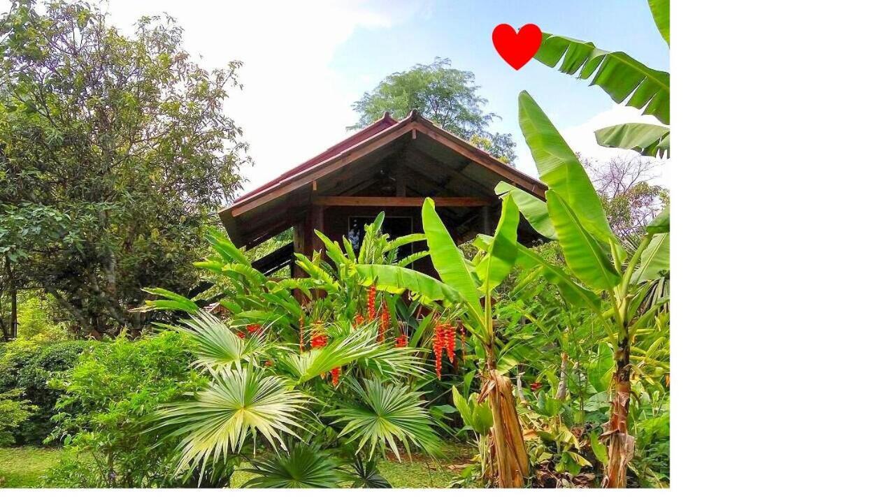 Pencave Homestay Pang Mapha Extérieur photo